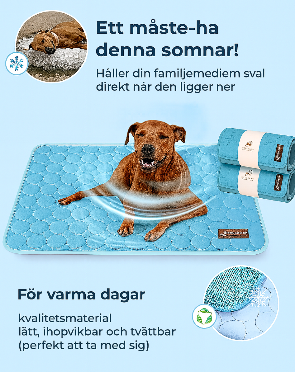🐾 Avkylande Komfortmatta för Hundar & Katter – För Ultimat Vila & Välbefinnande
